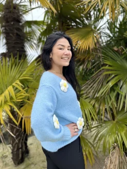 Pull Linda*Mademoiselle Marcelle Clearance